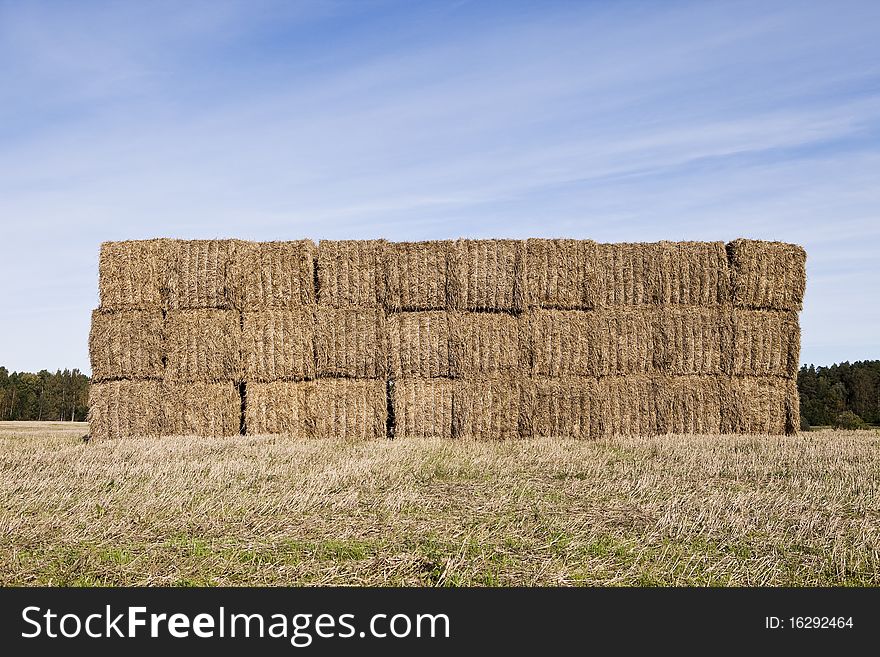 Bale of Haystack on a sunny day