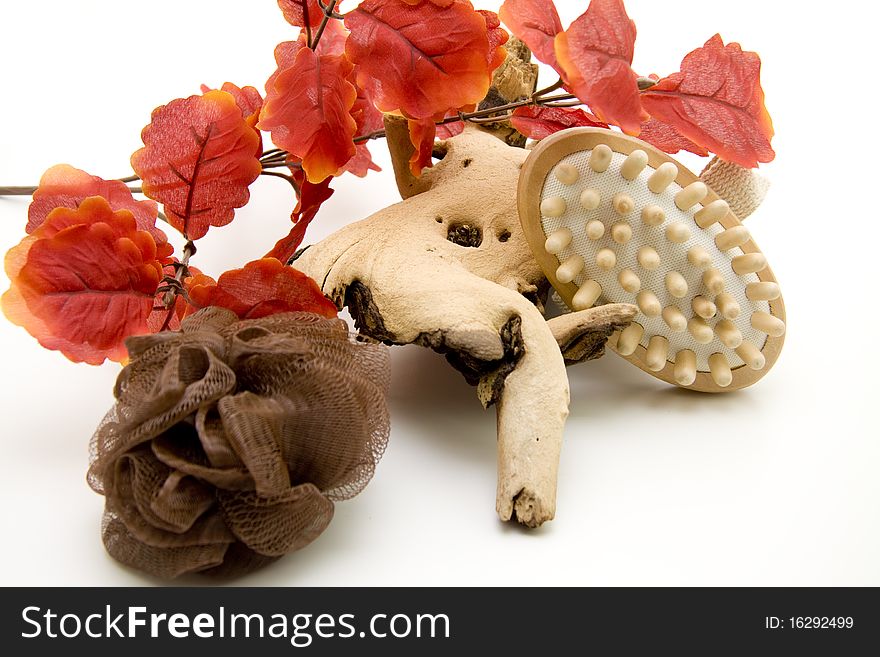 Branches with red leaves and massage brush