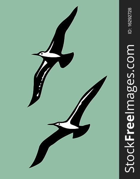 Vector silhouettes of the sea birds