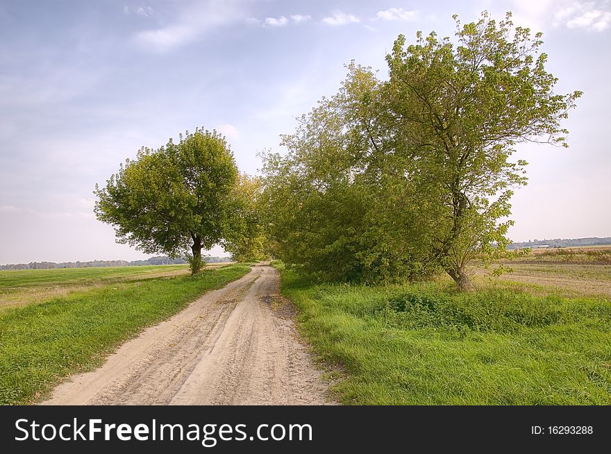 Path through the field, beautiful summer scenery