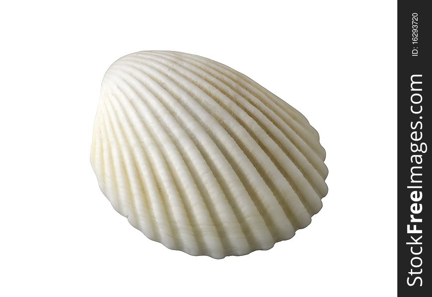 Exotic shellfish (clipping path)