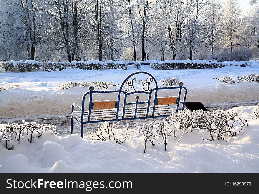 Old bench in winter park