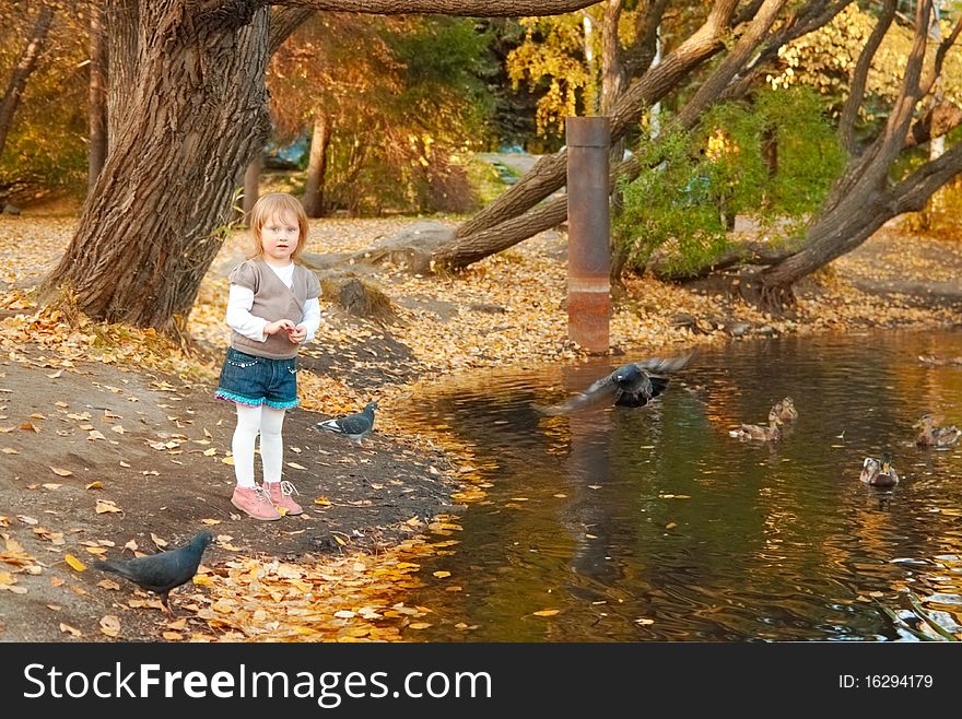 Autumn. Little girl (3 years old) stands at the bank of the pond. She feeds birds. Autumn. Little girl (3 years old) stands at the bank of the pond. She feeds birds.