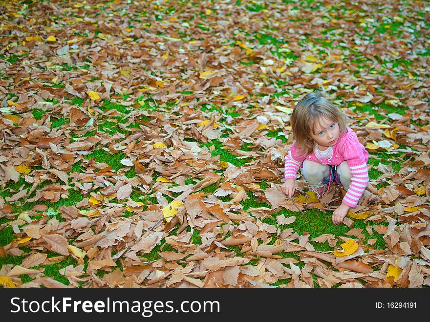 Little girl (3 years old) plays with leaves on the ground. Little girl (3 years old) plays with leaves on the ground