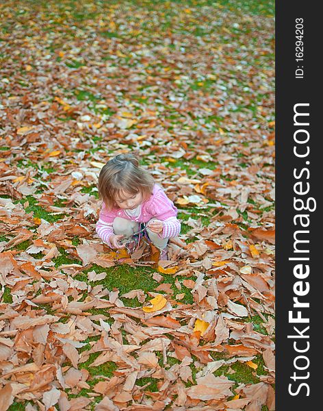 Little girl (3 years old) plays with leaves on the ground. Little girl (3 years old) plays with leaves on the ground