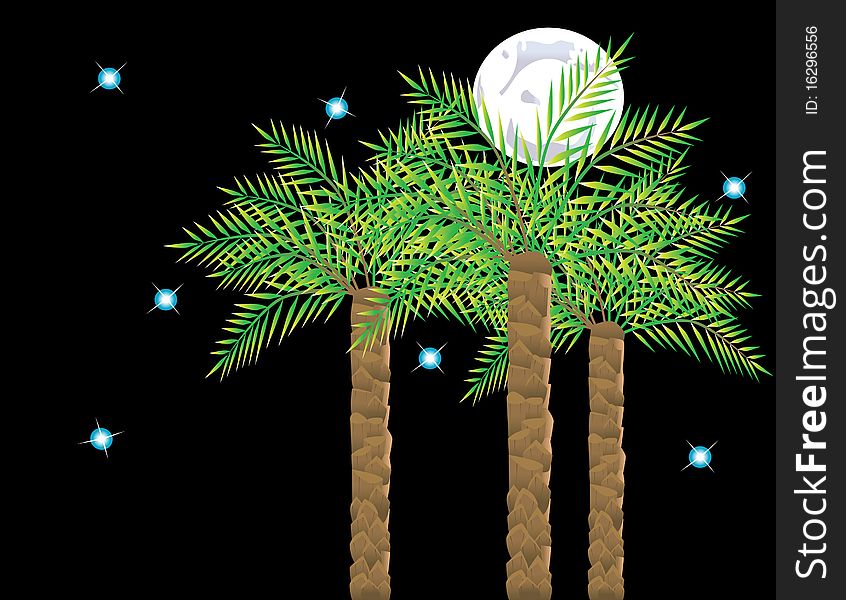 Palms on background of the moon and starry sky. Vector illustration