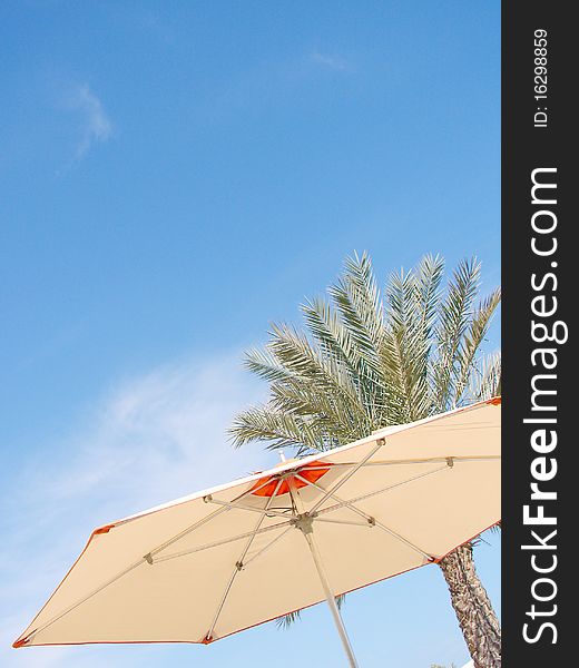 Beach Umbrella and palm against a Background of Blue Sky. Beach Umbrella and palm against a Background of Blue Sky