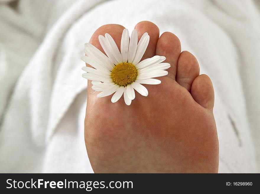 Foot with flower on white background. Foot with flower on white background.