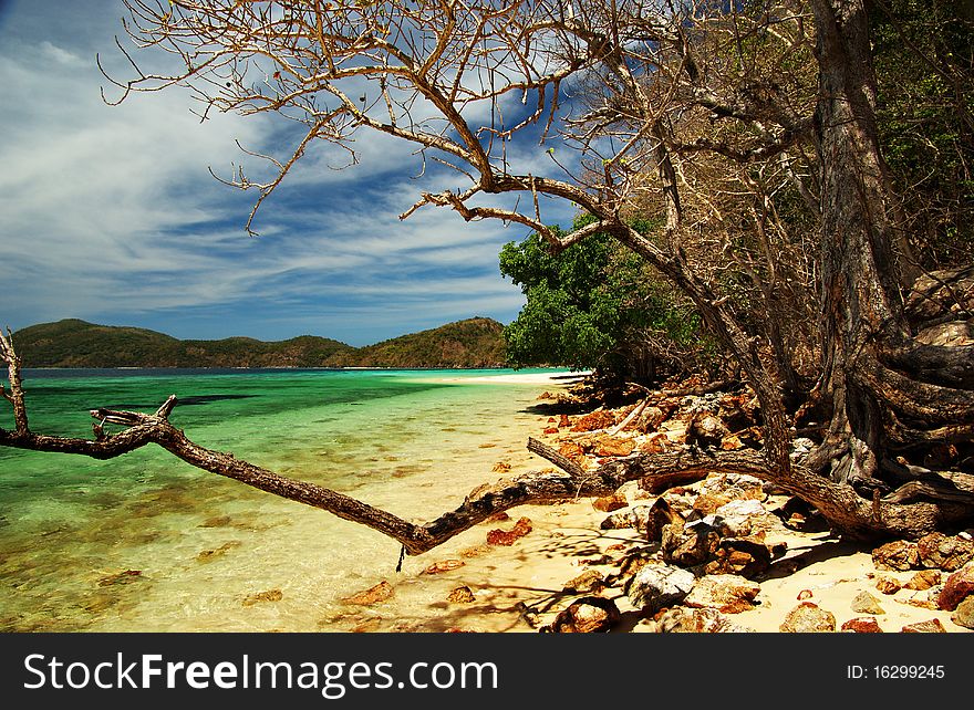 Trees and rocks line the back of Malcapuya's pristine beaches offering a different untamed beauty to behold. Trees and rocks line the back of Malcapuya's pristine beaches offering a different untamed beauty to behold.