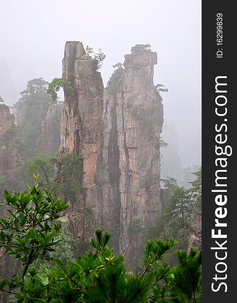 Mountain and fog, in Zhangjiajie, china