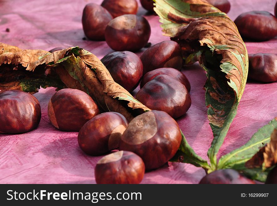 Chestnut with chestnut leaf withered scattered on a table.