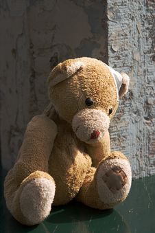 Cute Bear Royalty Free Stock Photos Cute Bear Royalty Free Stock Photos