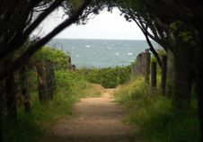 Footpath To Ocean Stock Photography Footpath To Ocean Stock Photography