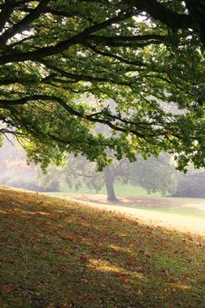 Autumn In A Park Stock Image Autumn In A Park Stock Image