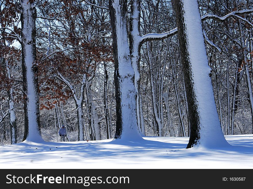 December in Midwest. First snow. First cold. First skier. December in Midwest. First snow. First cold. First skier..