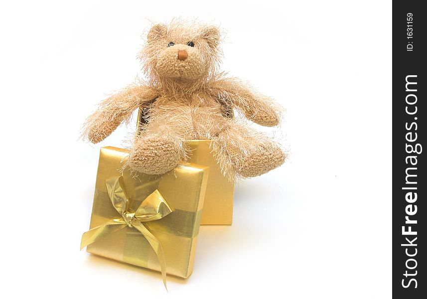 Teddy bear in Christmas present