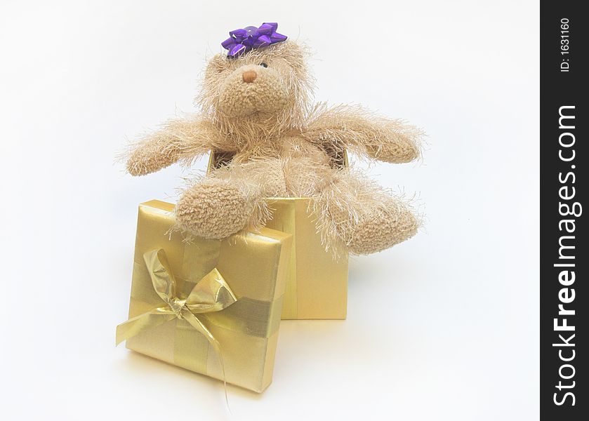 Teddy bear in Christmas present