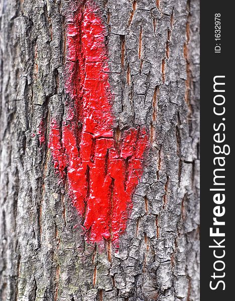 Red arrow on tree bark