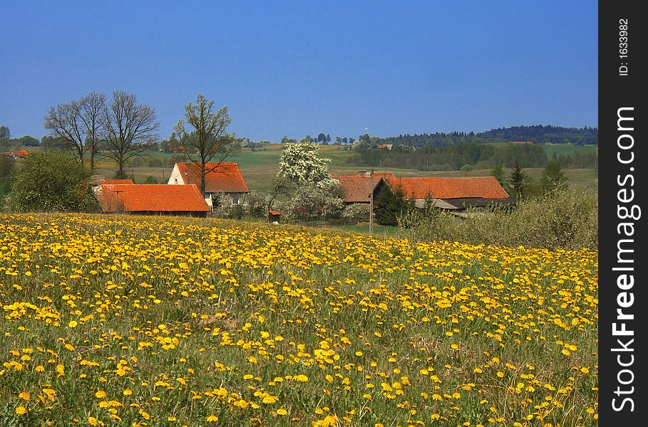 Sunny spring landscape with old farm