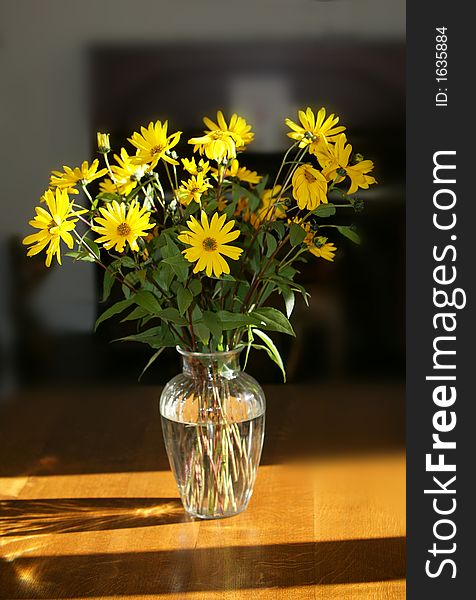 Photo of a bouquet of flowers in late afternoon sun. Photo of a bouquet of flowers in late afternoon sun