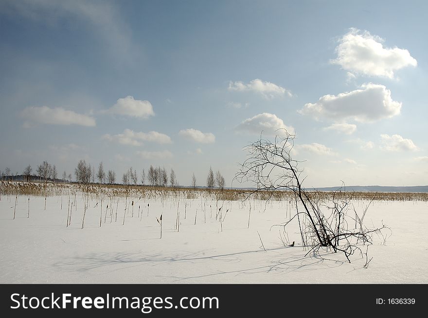 Winter. View of snow field in Russia.