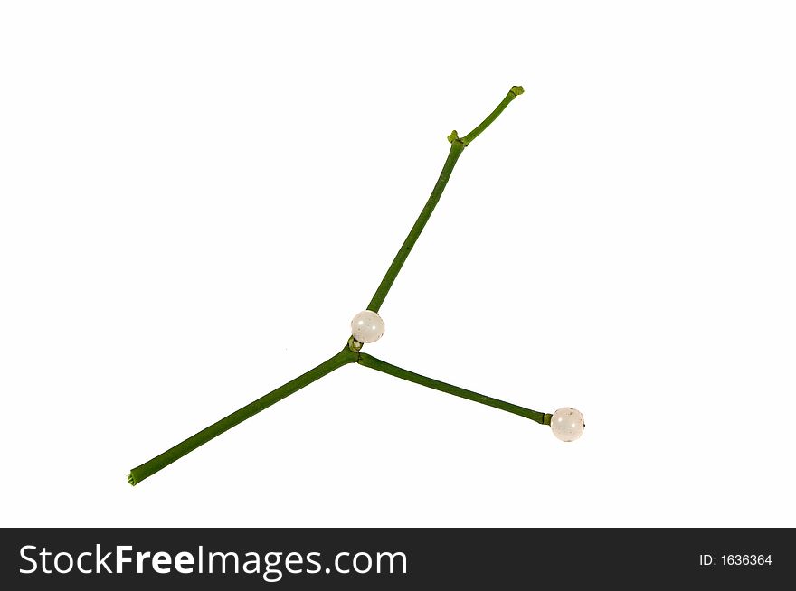 Mistletoe rod with berries, isolated on white background.