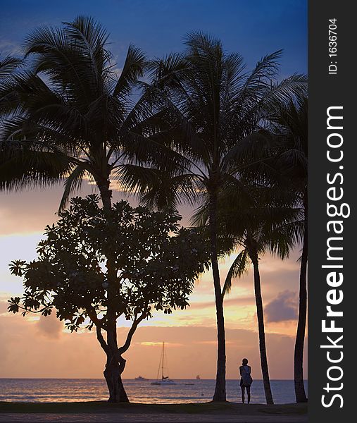 Evening photo of a tropical beach (Honolulu=. Evening photo of a tropical beach (Honolulu=