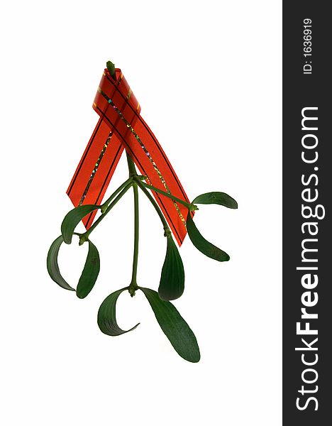 Mistletoe twig with a red ribbon