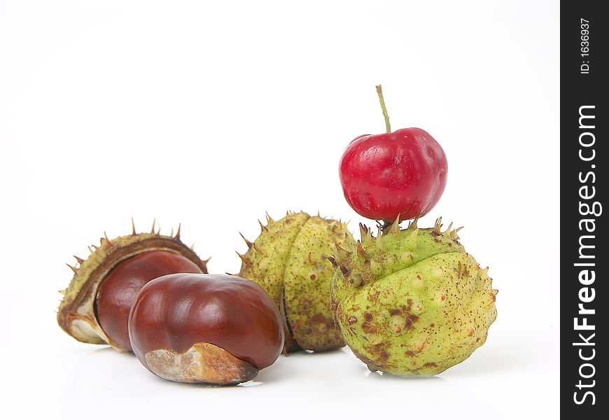 Autumn composition of chestnuts and crab over white. Autumn composition of chestnuts and crab over white