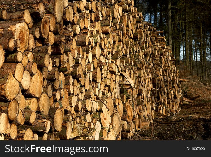 It is a photo of a woodpile