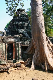 Ta Prohm Temple,Angkor Royalty Free Stock Photography Ta Prohm Temple,Angkor Royalty Free Stock Photography