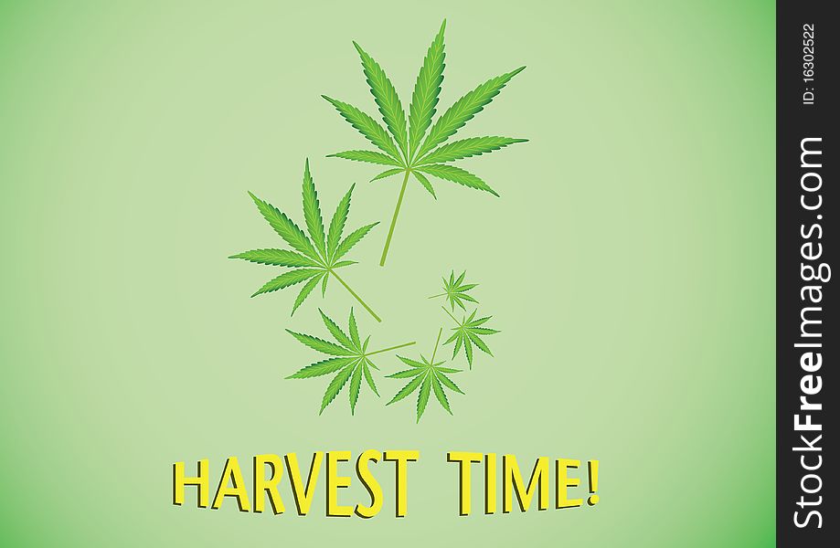 Harvest Time