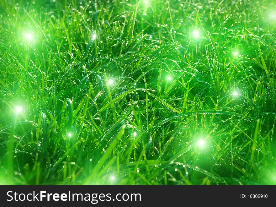 Colored image of green grass with lights. Colored image of green grass with lights