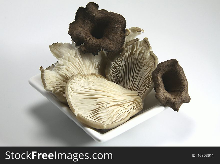 Chanterelle, Oyster mushrooms and horns of plenty in autumn. Chanterelle, Oyster mushrooms and horns of plenty in autumn