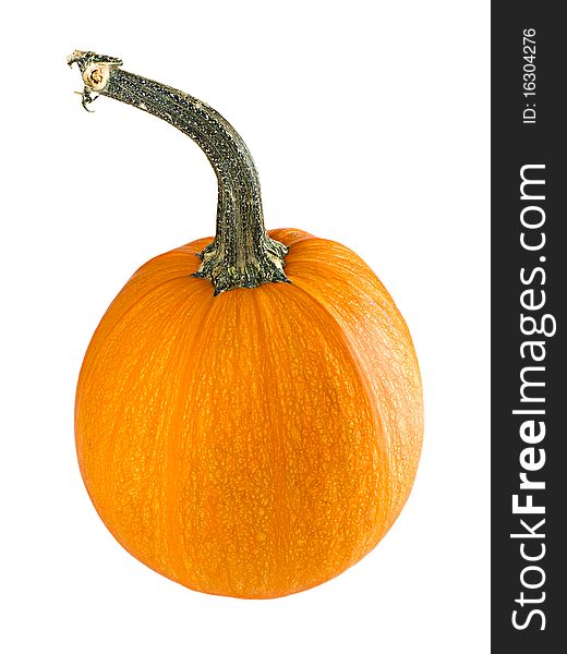 The pumpkin with the peduncle