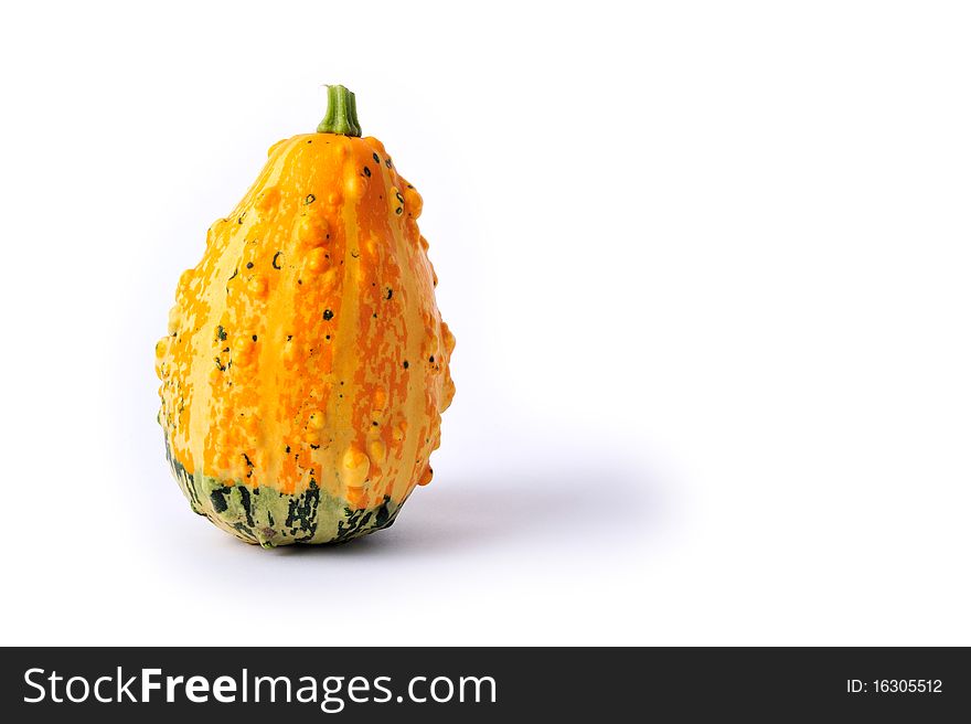 One yellow and green coarse gourd on white background