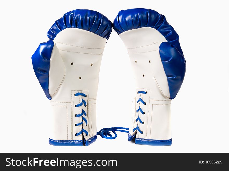 Combative sports equipment on white background. Combative sports equipment on white background