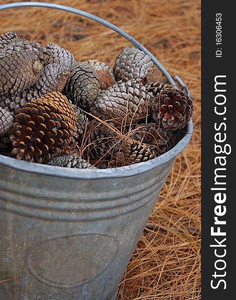 A bucket filled with pine cones