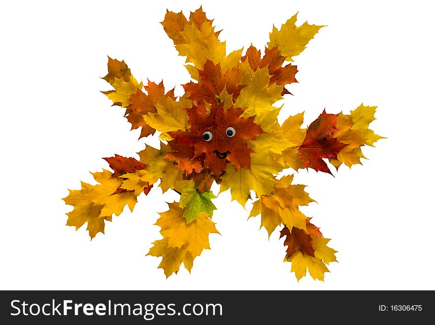 Autumn leaves on a white background combined in the form of the sun and unprofitable eyes