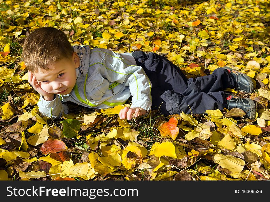 The thoughtful boy lies on autumn leaves