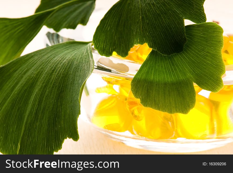 Ginko biloba essential oil with fresh leaves - beauty treatment