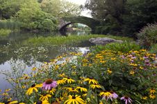 Central Park At The Pond Stock Photo Central Park At The Pond Stock Photo