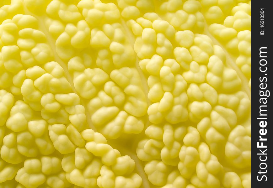 Yellow organic texture closeup background. Yellow organic texture closeup background.