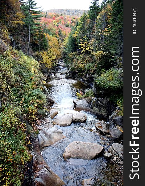 Trees at fall time with a river and stones. Trees at fall time with a river and stones