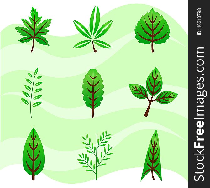 Set of leaf icons illustration vector. Set of leaf icons illustration vector