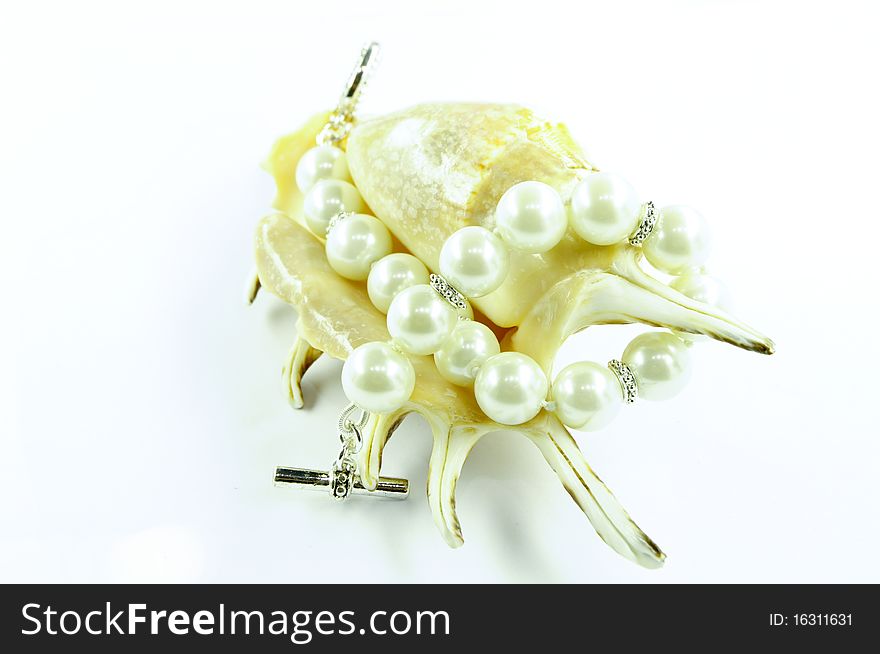 Shell on a white background with pearls. Shell on a white background with pearls