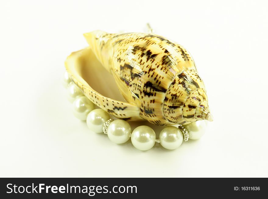 Shell on a white background with pearls. Shell on a white background with pearls