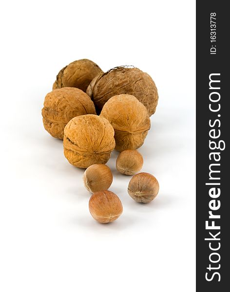 Wallnut and hazelnut on white background