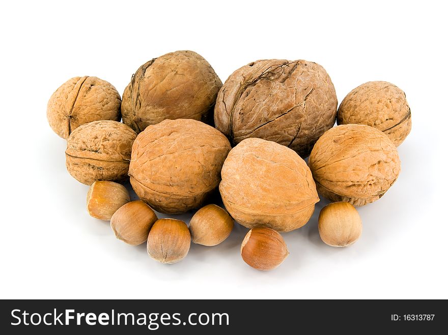 Wallnut and hazelnut on white background