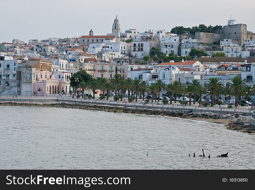 The small city vieste in itlay, gargano, apulia